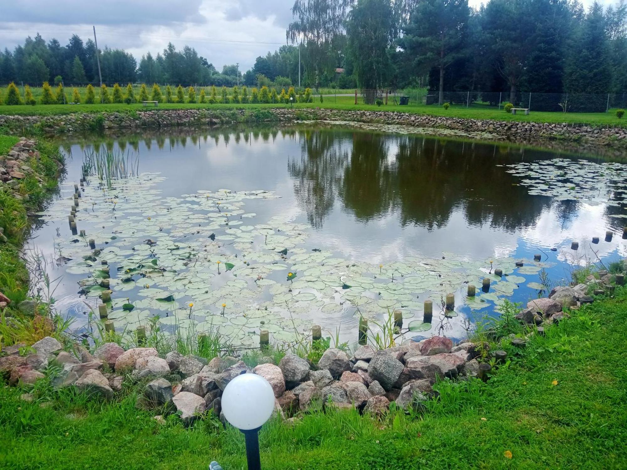 Domki Nad Stawem Stegna  Zewnętrze zdjęcie